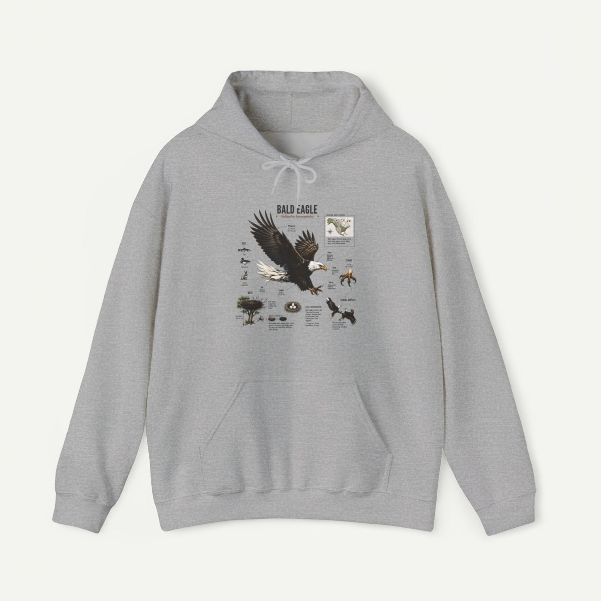Eagle Graphic Hoodie — Bald Eagle Nature Print Sweatshirt